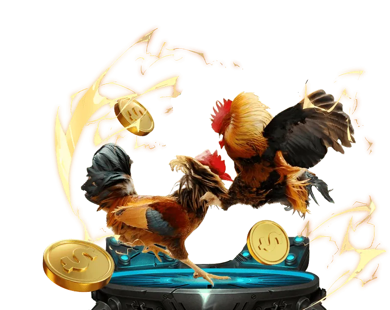 Thưởng nạp tiền hàng ngày đá gà trực tuyến